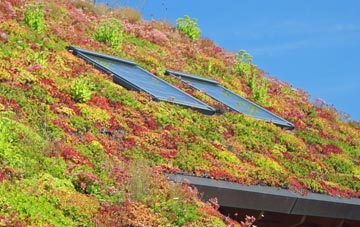Bowbeck living roof systems